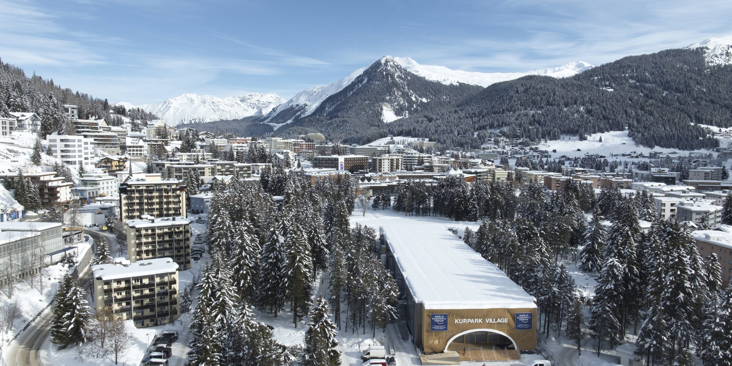 53461120928_70b4e39a83_k